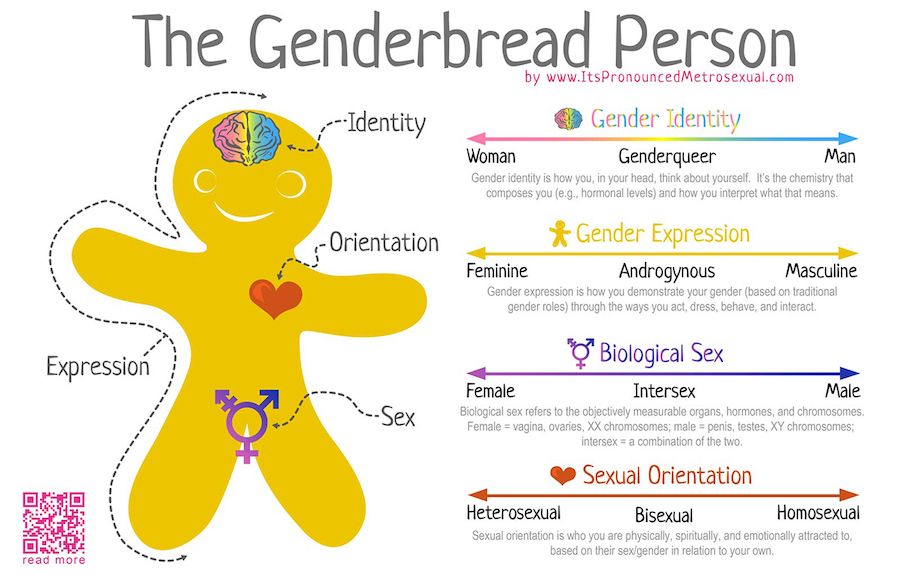 1200 Genderbread Person